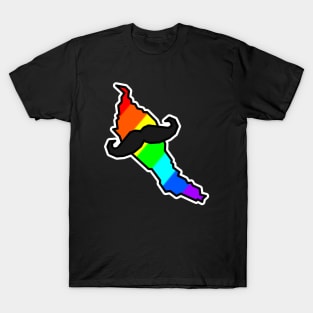 Denman Island Wearing a Bright Rainbow and a Stylish Moustache - Denman Island T-Shirt